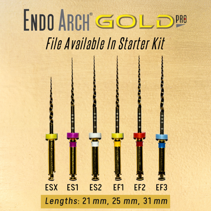 Picture of Endo Arch Gold Pro Rotary Files