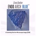 Picture of Endo Arch Blue NiTi Rotary Files